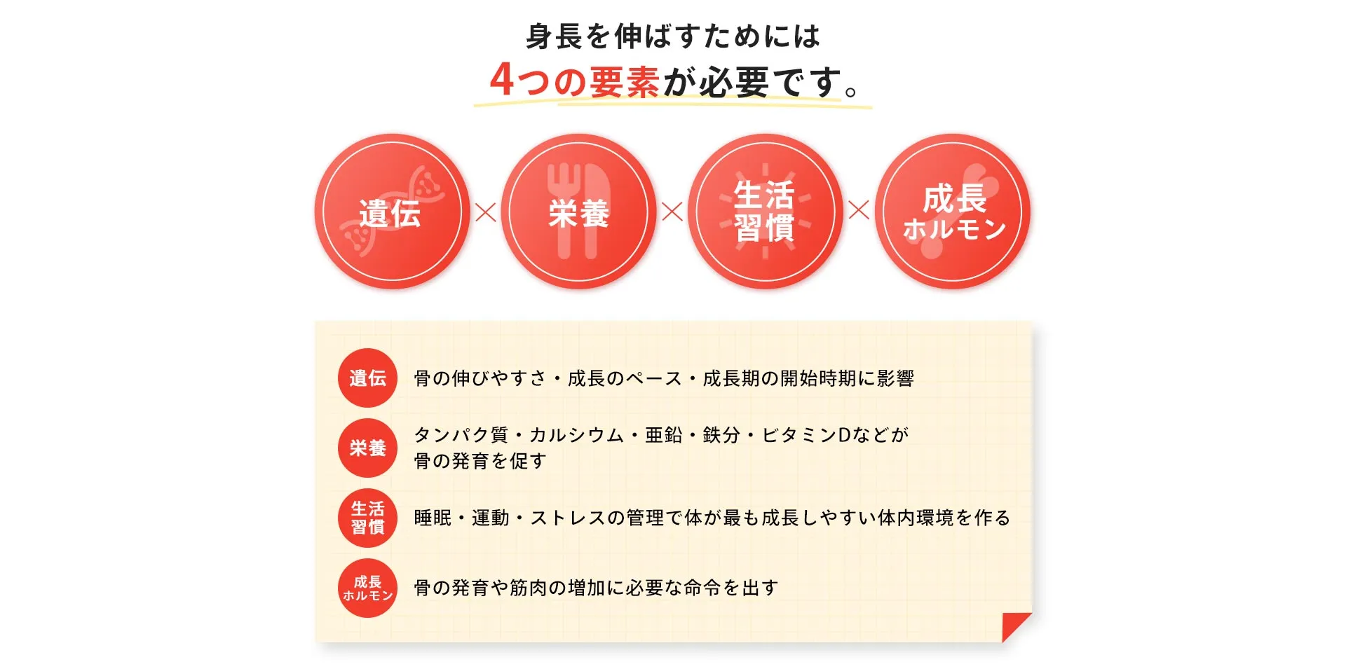 身長を伸ばすためには4つの栄養素が必要です。