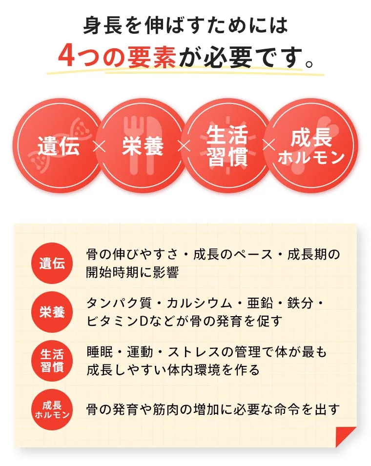 身長を伸ばすためには4つの栄養素が必要です。
